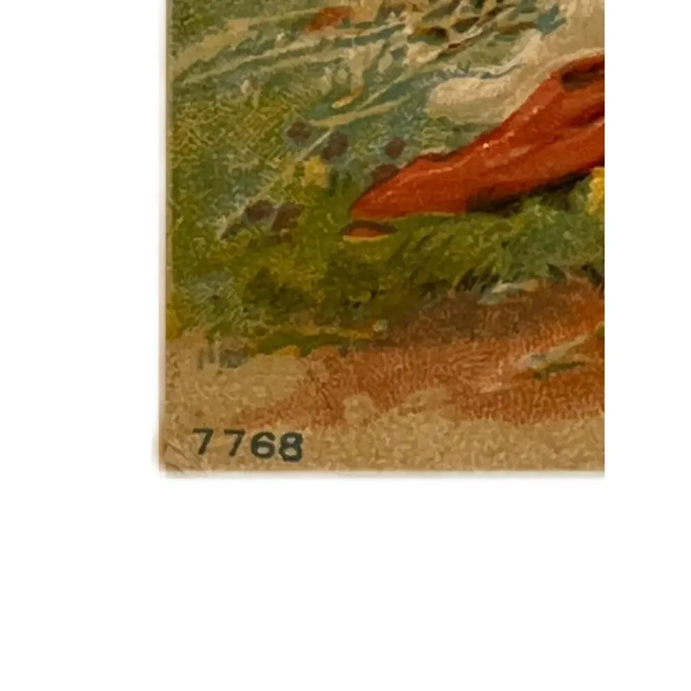 Antique Postcard Clowder Of Cats 1910 Ephemera Countryside Heart Wishes Embossed